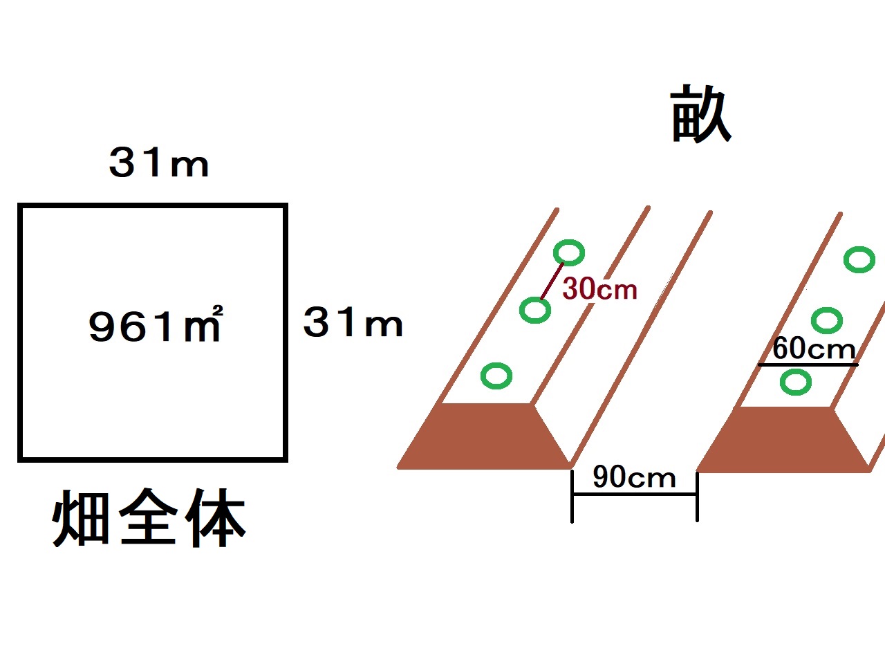 【農家がまとめる】1から始める「さつまいも」は儲かるのか調べてみました。 – さどうちもんブログ